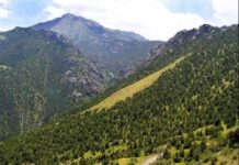 Сурхондарё – юртимизнинг жанубдаги мустаҳкам таянчига айланмоқда. Сурхондарё – юртимизнинг жанубдаги мустаҳкам таянчига айланмоқда